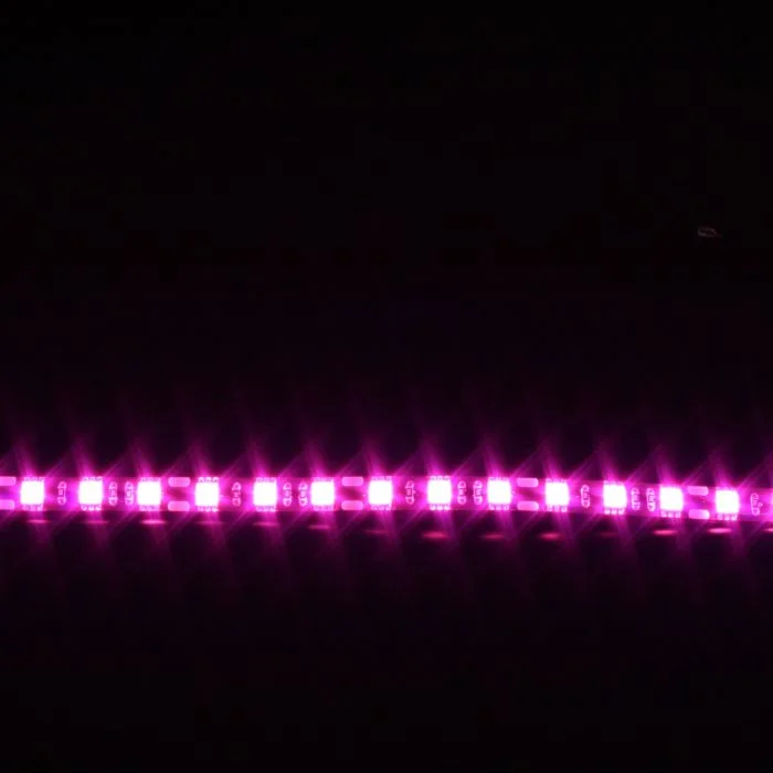 2026_06_20_1595478